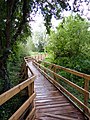 Reedfen Boardwalk at Batford Springs