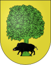 Blason