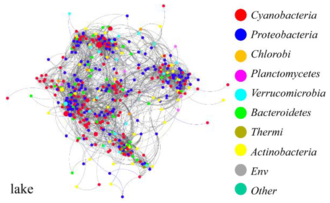 Co-occurrence network of a bacterial community in a lake Co-occurrence networks of bacterial communities in a lake.xcf