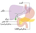 ھێما بۆ وەشانی  ‏١٦:٥٢، ٢٦ی حوزەیرانی ٢٠٢١