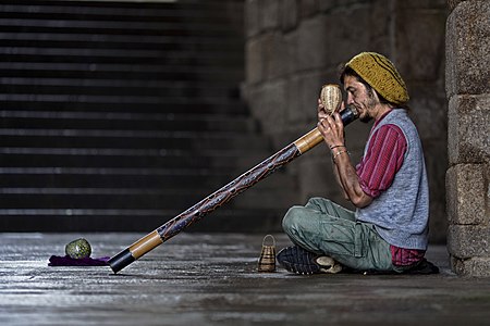 Улични свирач абориџинског инструмента диџериду. Диџериду или једаки се прави од суве гране дрвета, издубљене радом термита. Звукови које производи овај инструмент више личе на шумове него на тонове.