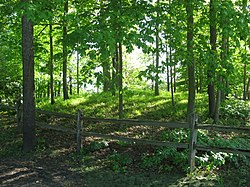 Dunns Pond Mound.jpg