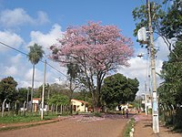 Capiatá