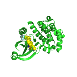 Фактор инициации трансляции эукариот 2-альфа-киназа 3 (PERK) Cytoplasmic domain.png