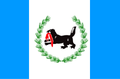 Flaga obwodu irkuckiego