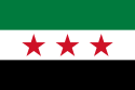 Flag of Turkish occupation of northern Syria