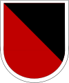 101st Airborne Division, 311th Military Intelligence Battalion, Long-Range Surveillance Detachment