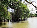 Miniatura para Río Frío (Costa Rica)