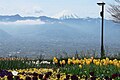 当公園から望む甲府盆地と富士山