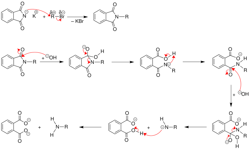 Mechanismus der Gabriel-Synthese: Verseifung