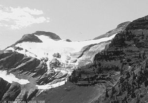 Der Grant-Gletscher 1998