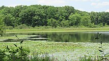 Southwest edge of Green Lake