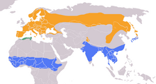 Carte représentant l'aire de répartition du Torcol fourmilier, distinguant l'aire de nidification, une aire mixte et l'aire d'hivernage.