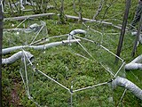 CO2-Begasungs-Experiment der Naturwissenschaftlichen Station Abisko (Nordschweden) in einem Tundramoor am Torneträsk