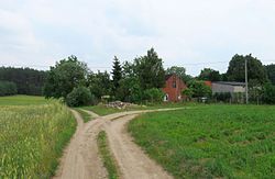 Road in Leszcyniak