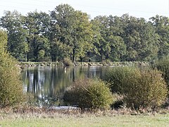 L'étang de Tiolet à l'est de la RD 40.