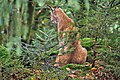 Ein sitzender Luchskuder schaut hangabwärts einem (leider nicht im Bild sichtbaren) Weibchen hinterher, Tierfreigelände Nationalpark Bayerischer Wald.