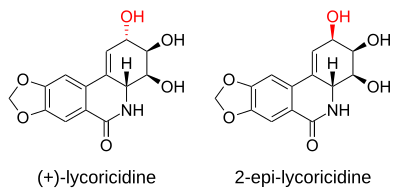 Lycoricidine et 2-épi-lycoricidine