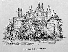 Le château de Montmort.