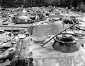 Ukořistěné německé tanky