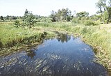 St. Louis River at Thomson, Minnesota