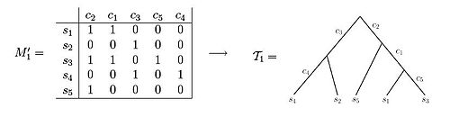 An example of a character matrix that can be depicted as a perfect phylogeny