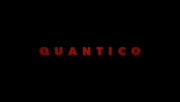 Miniatura para Quantico (serie de televisión)