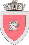 Wappen von Fărău