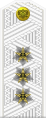 Парадный погон ВМФ Российской Федерации (белые — на рубашку) (1994—2010)