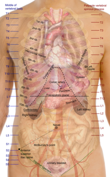 Liemuo (anatomija) – Vikipedija
