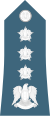 Syria Air Force - OF06.svg