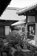 A small internal garden surrounded by wooden buildings with verandass.