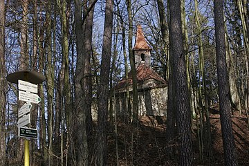 Pohled od rozcestí u Zdislaviny studánky