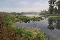 Сіверський Донець