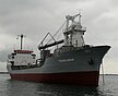 Цементовоз Trader Arrow на якоре у гавани турецкого судоремонтного завода Тузла.13 Марта 2009 года. Носовые скулы судна оснащены двумя рядами бархоутов.
