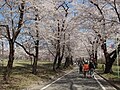 2014年5月1日 (木) 01:23時点における版のサムネイル