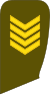 09-Lithuania Army-STSG.svg