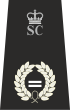 Assistant Chief Officer MSC