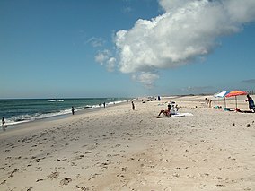 Assateague fg03.jpg