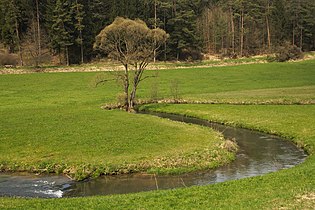 Im Tal der Aufseß