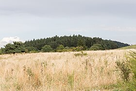 Image illustrative de l’article Puy de Boursoux