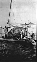 Mayang dengan perangkap ikan besar di Kepulauan Seribu, teluk Batavia.