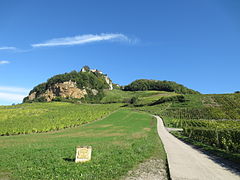 Château-Chalon dominant les coteaux du vignoble Château-Chalon (AOC).