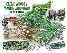 Crone Wood trails