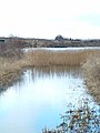 Abfluss aus dem Loch of Forfar