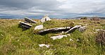 Faunarooska Wedge Tomb (Ost)