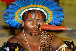 Egy feldíszített őslakos indián az ország északkeleti részéről