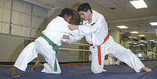 When practising ne-waza, the judoka usually start from their knees.