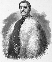 Генерал И. Д. Лазарев, 1878 год .