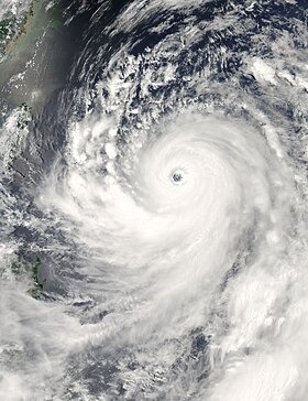 imagem ilustrativa de artigo Tufão Man-yi (2007)